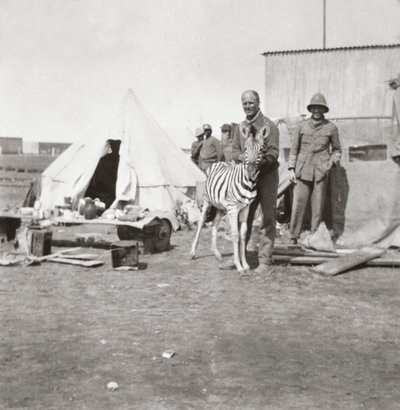 South African Gunners with Their Pet Zebra in East Africa by English Photographer